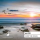 Over the Ocean Single