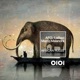 African Rules Single