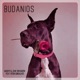Budanois feat Vitor Gonçalves Single
