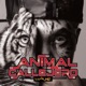 Animal Callejero Single