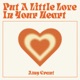 Put A Little Love In Your Heart Single