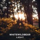 Light Single
