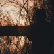 Nothing Left of Us Single