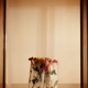 Fleurs Single