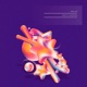 Dusk feat Rromarin Single