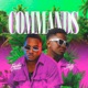 Commands feat Shelly Single