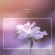 Hailuoto Single