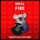 Fire Single