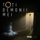 Toti Demonii Mei feat Feli Single