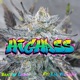 HighAss feat Lil Villain Single