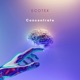 Concetrate Single