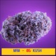 06 Kush Single