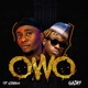 Owo feat Gasky Single