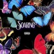 Soaring feat Callmesometime Single