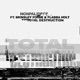 Total Destruction feat Brinsley Forde Flabba Holt Single