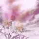 You 2 The Garden of Words