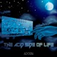 The Acid Side of Life Single