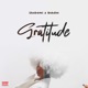 Gratitude feat Ruhdee Single