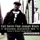 Sound Guided Me feat Joseph Black
