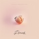 Pfirsich Remix Single
