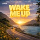Wake Me Up Single