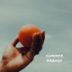 Summer Orange feat Monsieur Jovoni MJ the Sensei KraftyKid A Valley Nair B Single