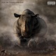 Inside Jobs feat Loose Skrewz Single