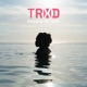 Trouble So Hard Single