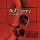 Not Sorry Single