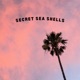 Secret Sea Shells Single