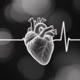 Heart line Single