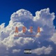 Area Single