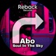 Soul In The Sky Single