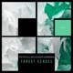 Forest Echoes Single