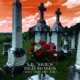 Red Roses LIOHN s Tokyo Drift Remix Single