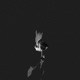 BARS AND MELODIES EP