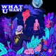 What U Want Single