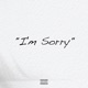 I m Sorry Single