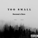 TOO SMALL feat Zeco Single