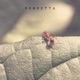 Vendetta Single
