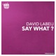 Say What Single
