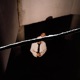 04 30 Idler Sleep Single