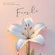 Faasle feat Antaraa Bhataacharya Single