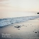 Shallow Shores Single