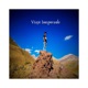 Viaje Inesperado Single