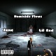 Homicide Flows feat Lil Red Single