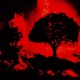 I WATCH IT ALL BURN Single