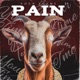 Pain Single