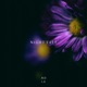 Night Tale Single