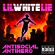 Antisocial Antihero